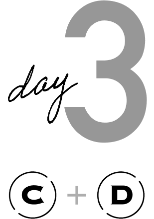 Day 3 C+D